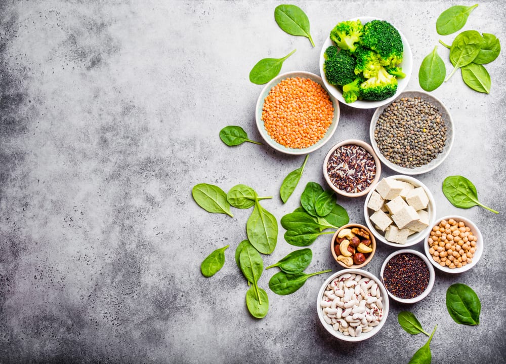 Navigating the Path from Concept to Market in the Nutrition Industry